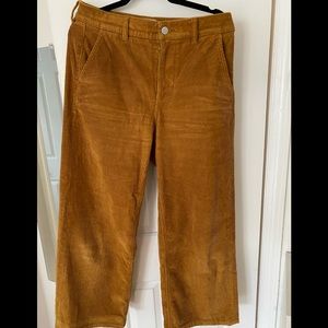 Everlane corduroy wide leg pants
